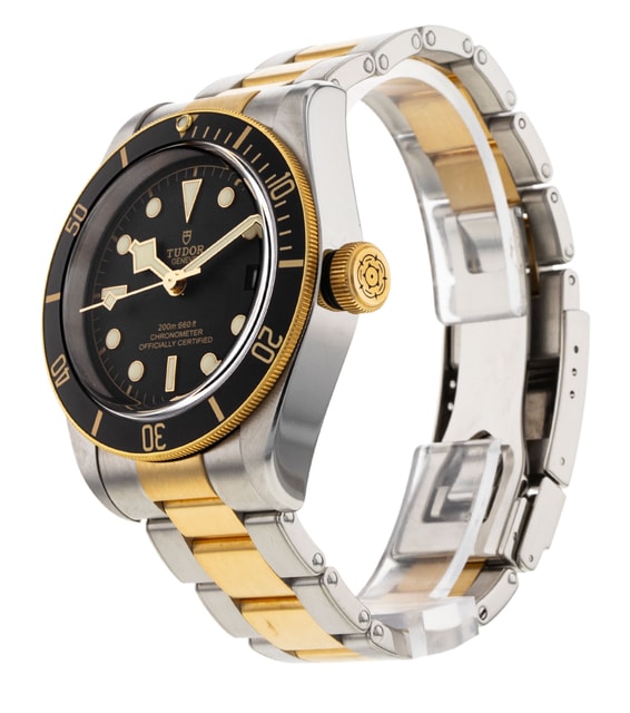 Tudor Black Bay M79733N-0008 Image 2
